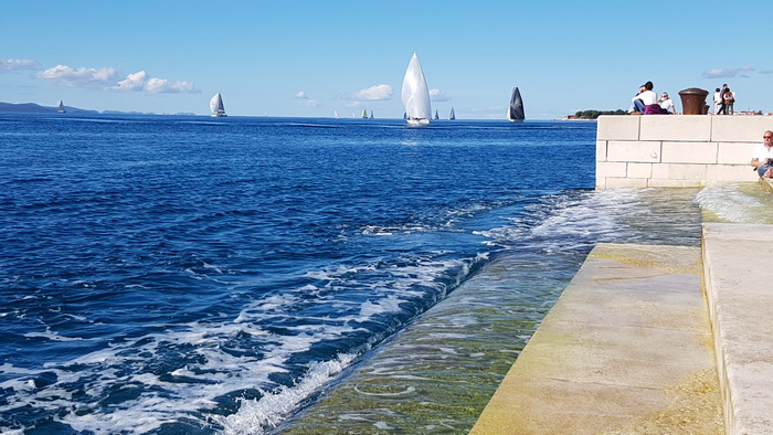 Zadarska Koka 2016. 22. listopada 2016. Foto: Mladen Malik Zadarska Koka 2016. 22. listopada 2016. Foto: Mladen Malik