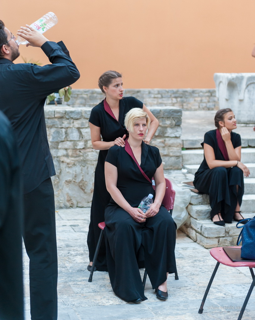 Zadarski komorni orkestar: Beethovenova Deveta simfonija u katedrali Sv. Stošije