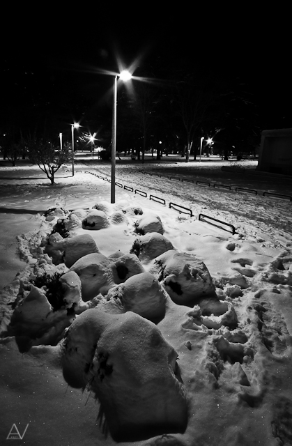 Noćni đir po Višnjiku, Foto: Anđelo Virag