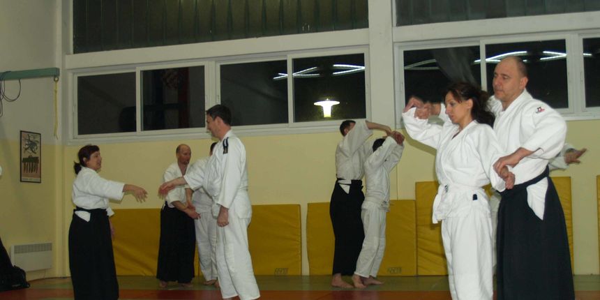 Aikido, sminar Alesa Leskovseka u AK Donat