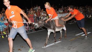 10. međunarodna trka tovarov Tisno 2015