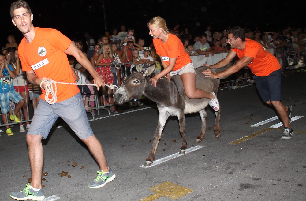 10. međunarodna trka tovarov Tisno 2015