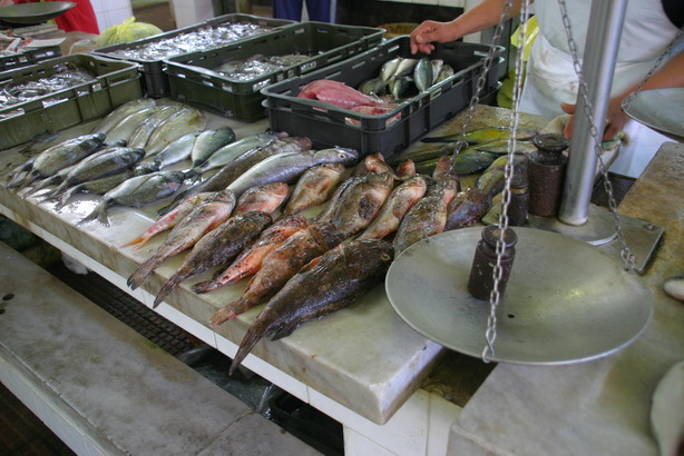 Image 1201841 (auto)