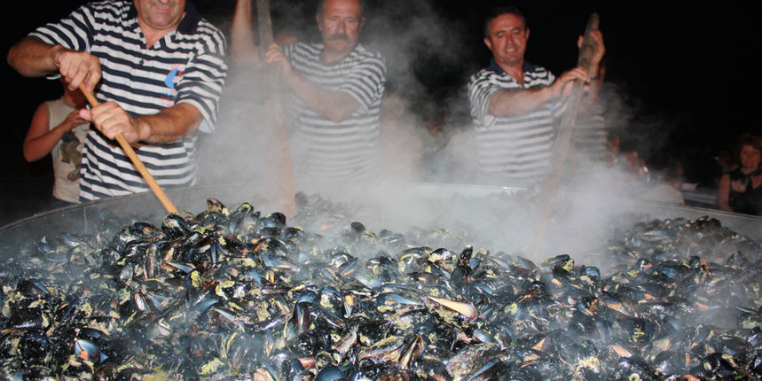 Sukošan: 42. Memorijal kenje Vijole i Svićarenje Sukošan: 42. Memorijal kenje Vijole i Svićarenje