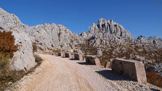 OLYMPUS DIGITAL CAMERA OLYMPUS DIGITAL CAMERA