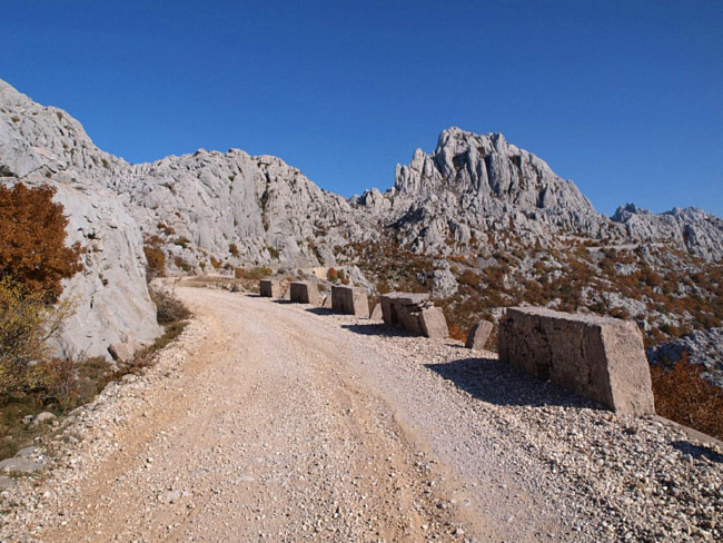 OLYMPUS DIGITAL CAMERA OLYMPUS DIGITAL CAMERA