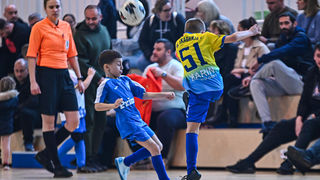 1.Cateleya indoor Cup 1.Cateleya indoor Cup