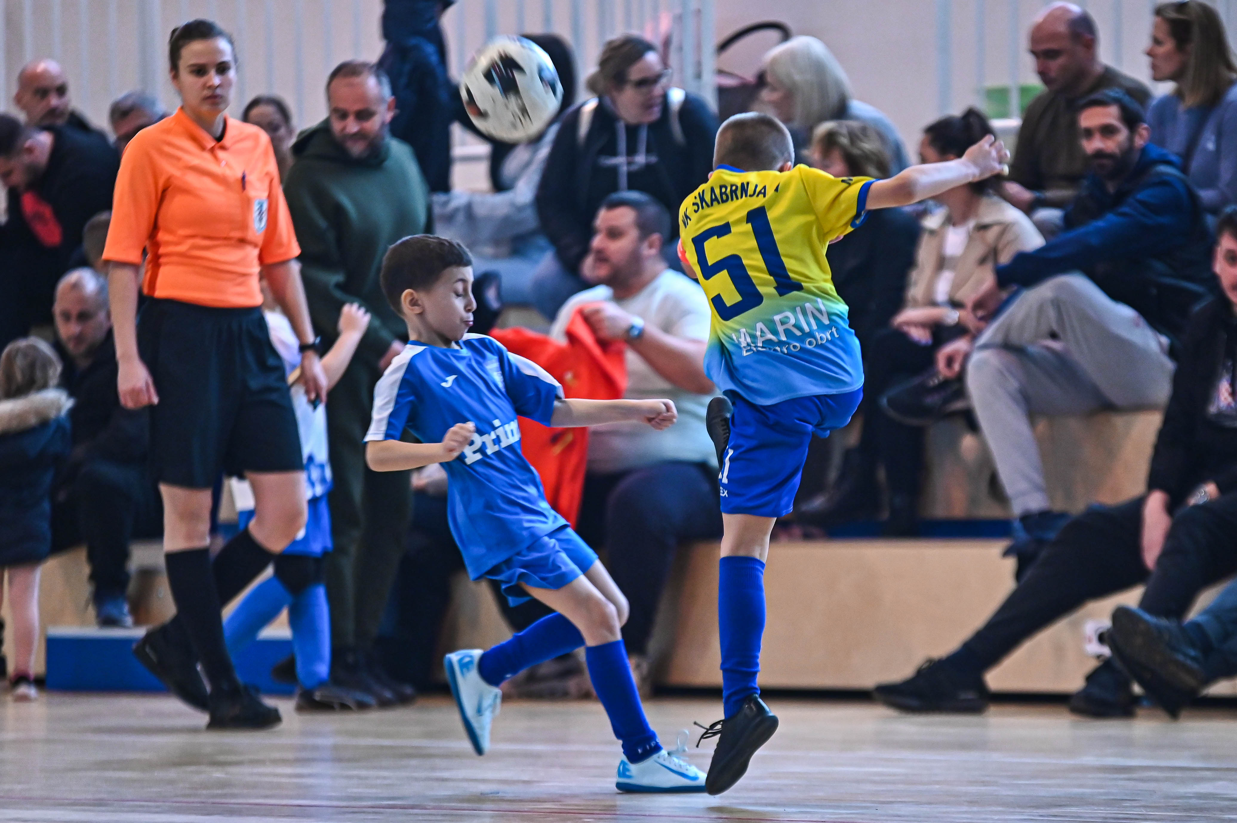 1.Cateleya indoor Cup 1.Cateleya indoor Cup