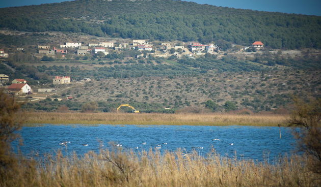 Vransko jezero: foto Iva Perinčić