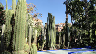 Skitnja Casablancom, foto: Pero Šindija