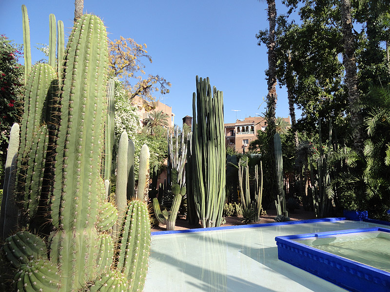 Skitnja Casablancom, foto: Pero Šindija