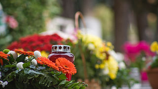 Gradsko groblje uoči blagdana Svih svetih (foto:Saša Čuka) Gradsko groblje uoči blagdana Svih svetih (foto:Saša Čuka)