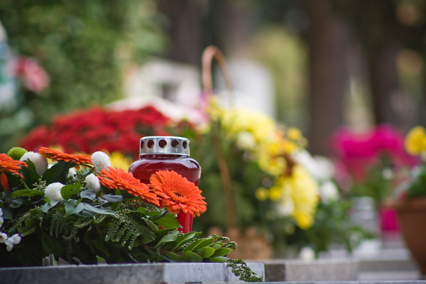 Gradsko groblje uoči blagdana Svih svetih (foto:Saša Čuka) Gradsko groblje uoči blagdana Svih svetih (foto:Saša Čuka)