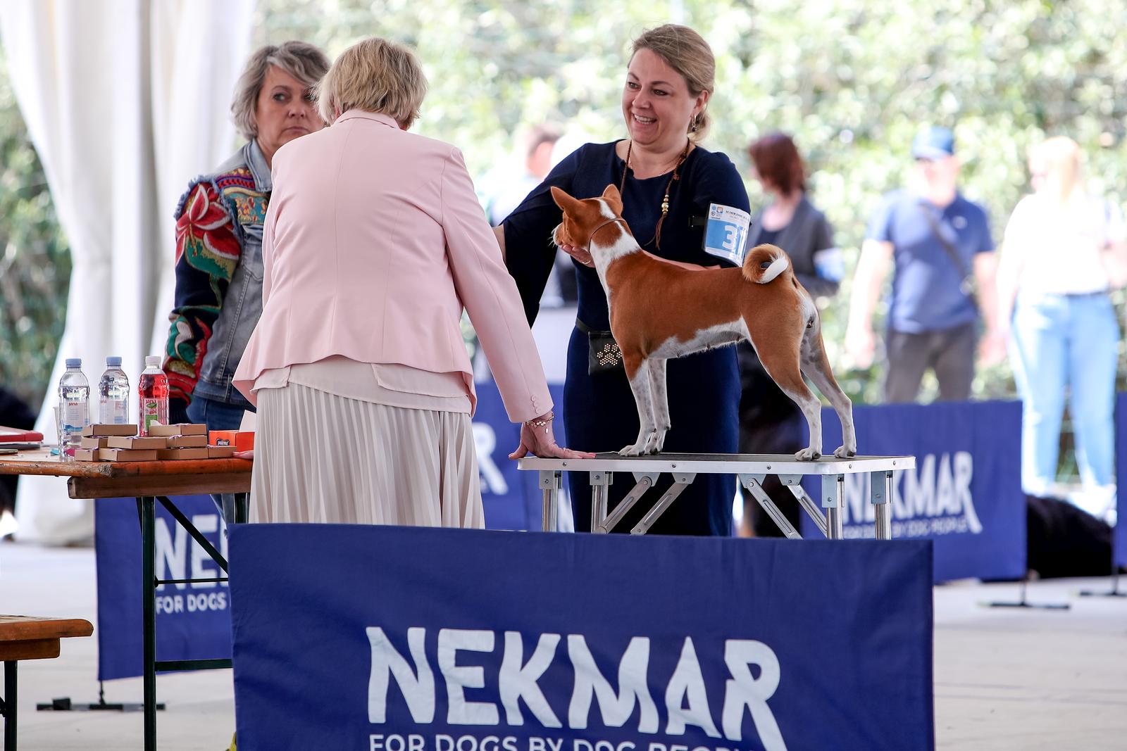 Međunarodna izložba pasa CACIB 2023