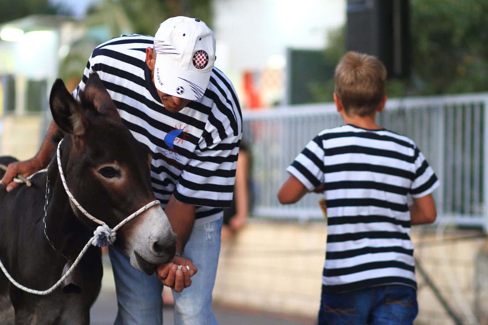 Trka Tovarov – 48. Memorijal Kenje Vijole Sukošan  Photo: Leo Banić