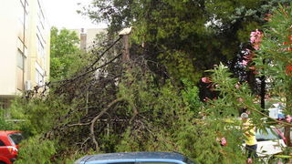 18.7.2009. Posljedice nevremena u ul. F. Tudjmana i B.J.Jelacica u Zadru 18.7.2009. Posljedice nevremena u ul. F. Tudjmana i B.J.Jelacica u Zadru
