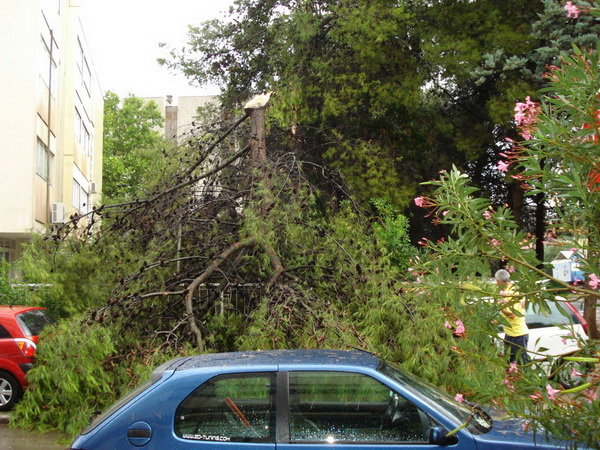 18.7.2009. Posljedice nevremena u ul. F. Tudjmana i B.J.Jelacica u Zadru 18.7.2009. Posljedice nevremena u ul. F. Tudjmana i B.J.Jelacica u Zadru