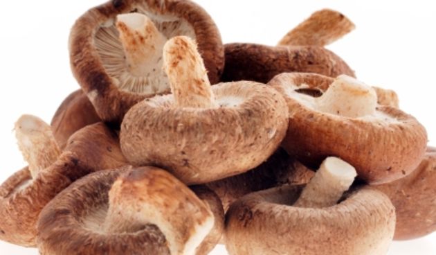 Shiitake gljive, foto: www.hrvatskioglasi.com