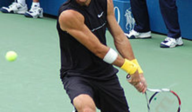 Del Potro, foto: www.wikipedia.org