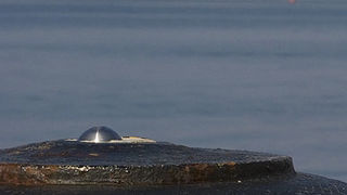 vez na zadarskoj rivi