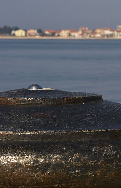 vez na zadarskoj rivi