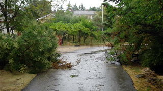 18.7.2009. Posljedice nevremena u ul. F. Tudjmana i B.J.Jelacica u Zadru 18.7.2009. Posljedice nevremena u ul. F. Tudjmana i B.J.Jelacica u Zadru