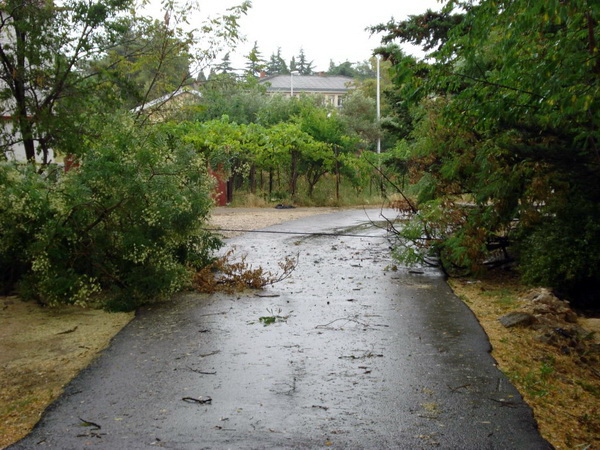 18.7.2009. Posljedice nevremena u ul. F. Tudjmana i B.J.Jelacica u Zadru 18.7.2009. Posljedice nevremena u ul. F. Tudjmana i B.J.Jelacica u Zadru