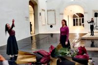 Večeri plesne minijature Večeri plesne minijature