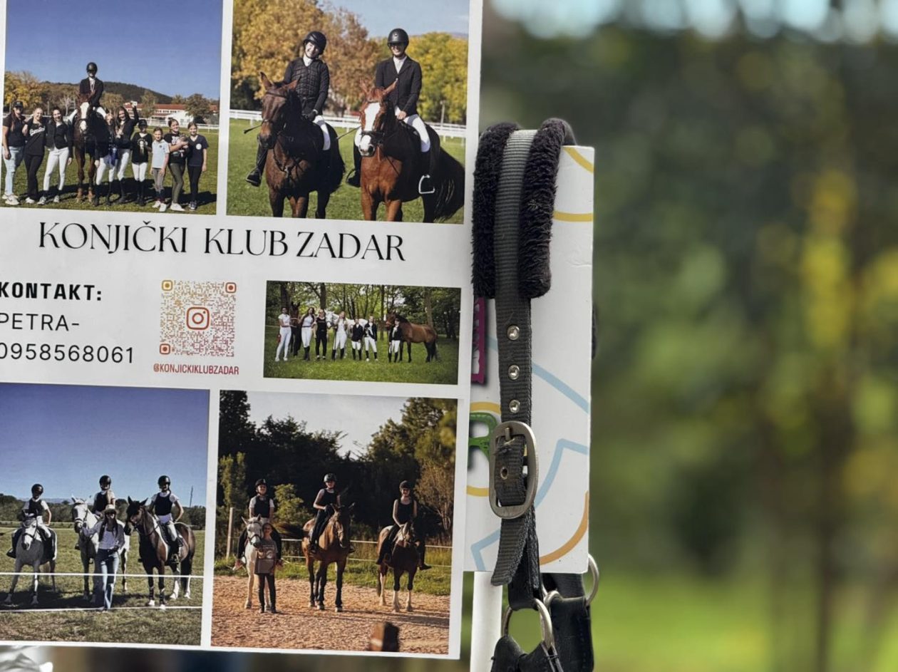 586498171_847373318021108_8557126384481534539_n