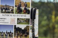 586498171_847373318021108_8557126384481534539_n