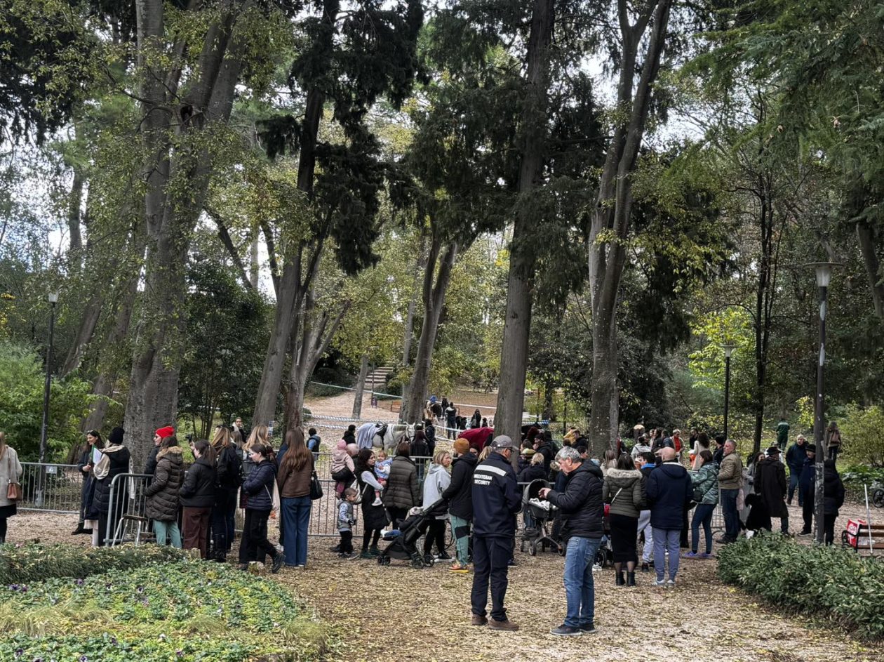 586517345_847373338021106_9214770783943965538_n