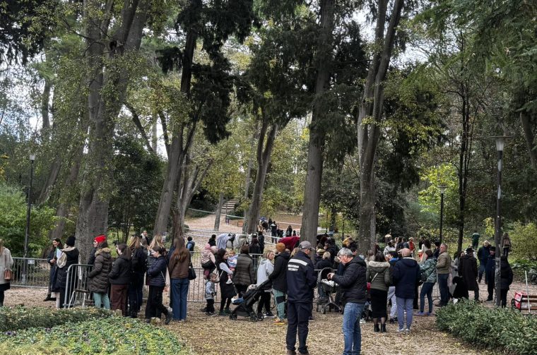 586517345_847373338021106_9214770783943965538_n