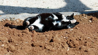 Đir po gradu, subotnja špica 9. ožujka 2019. Đir po gradu, subotnja špica 9. ožujka 2019.