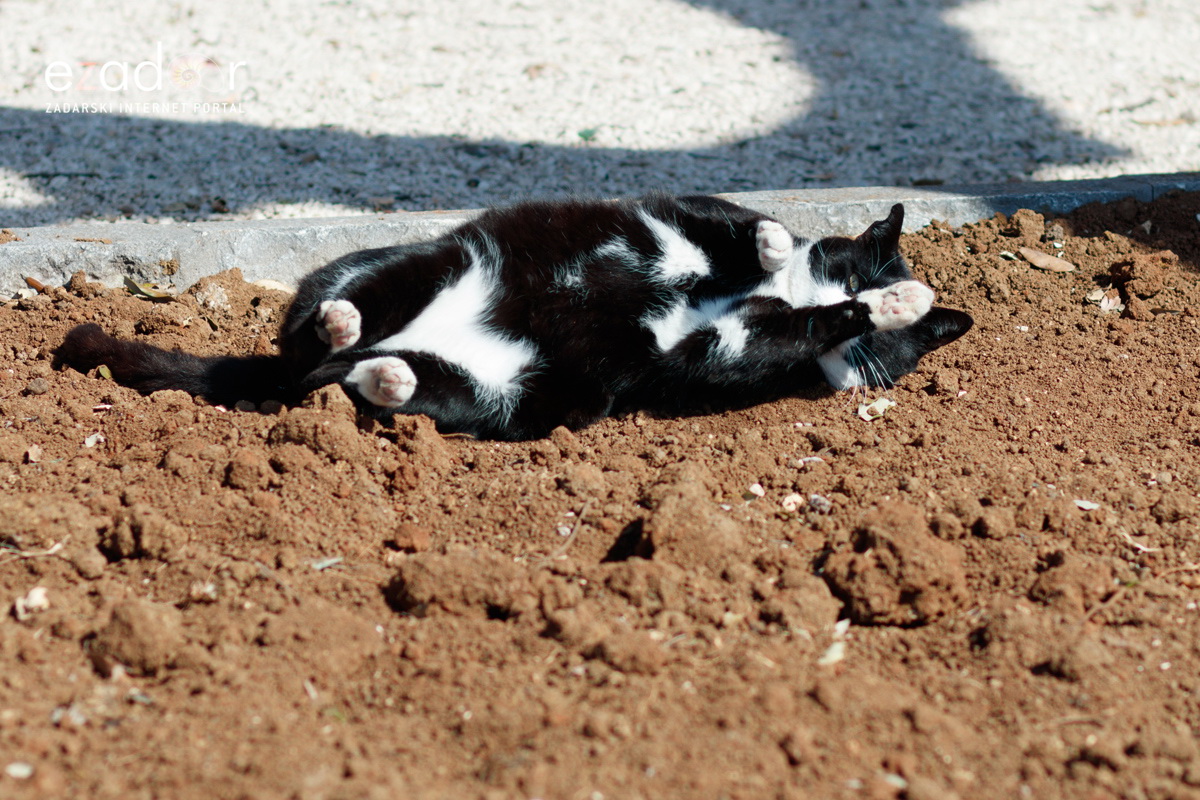 Đir po gradu, subotnja špica 9. ožujka 2019. Đir po gradu, subotnja špica 9. ožujka 2019.