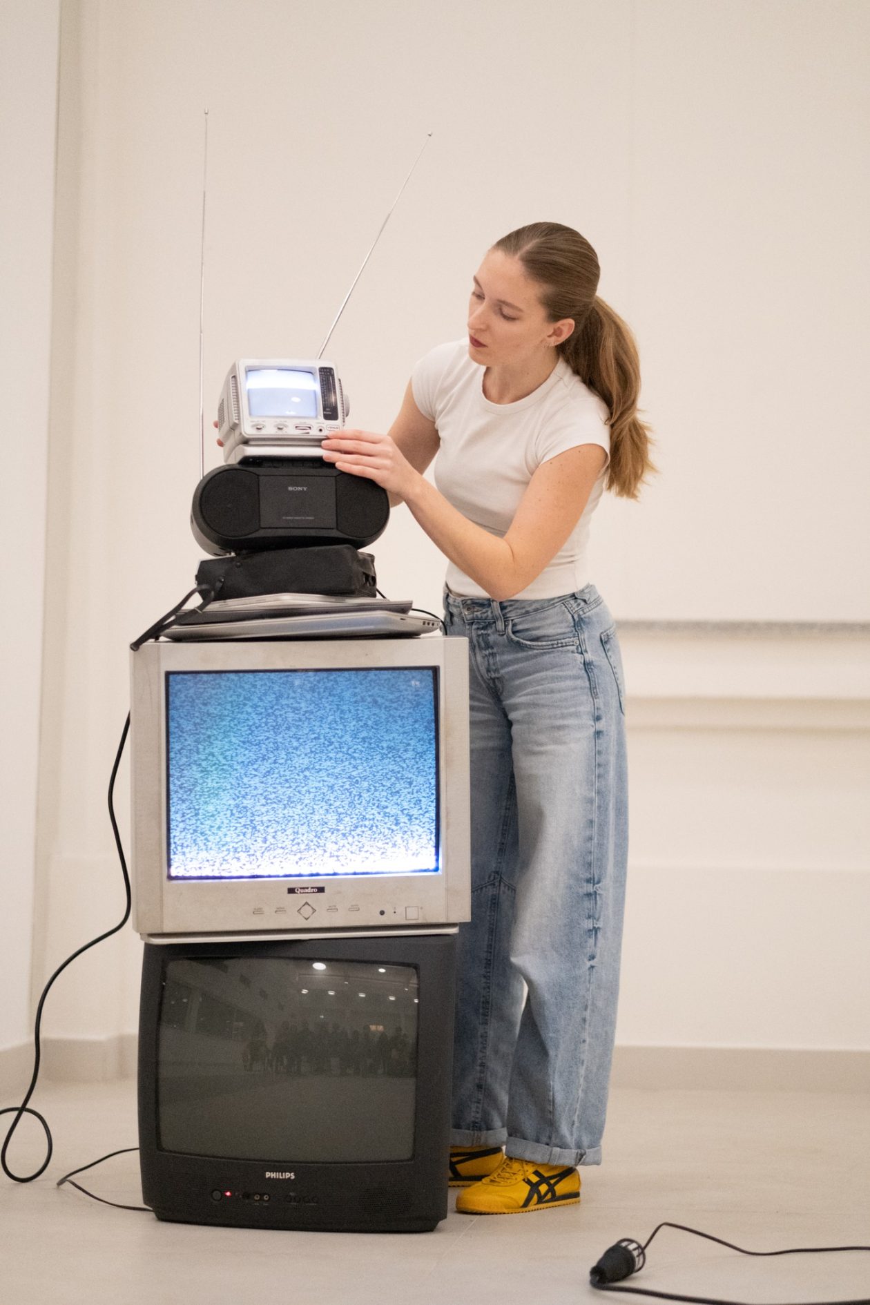 Večeri plesne minijature Večeri plesne minijature