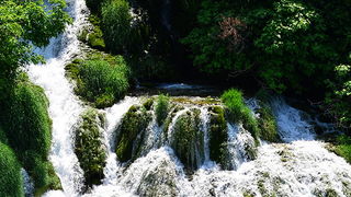 Đir do NP Krka. foto-Iva Perincic