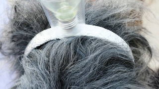 Virski karnevalić 2016. Virski karnevalić 2016.