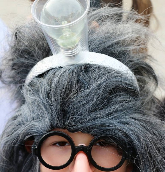 Virski karnevalić 2016. Virski karnevalić 2016.