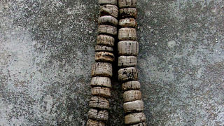 Image 1190409 (auto)