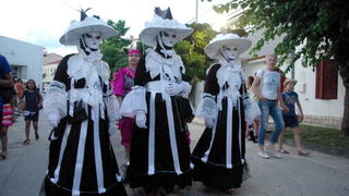 Paški ljetni karneval 2014. Paški ljetni karneval 2014.