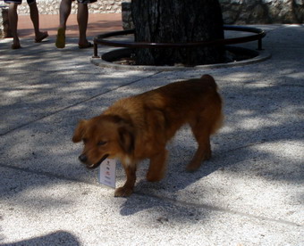 The Garden Festival, 4. srpanj 2009.