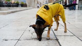 Đir po gradu, subotnja špica 4. svibnja 2019.