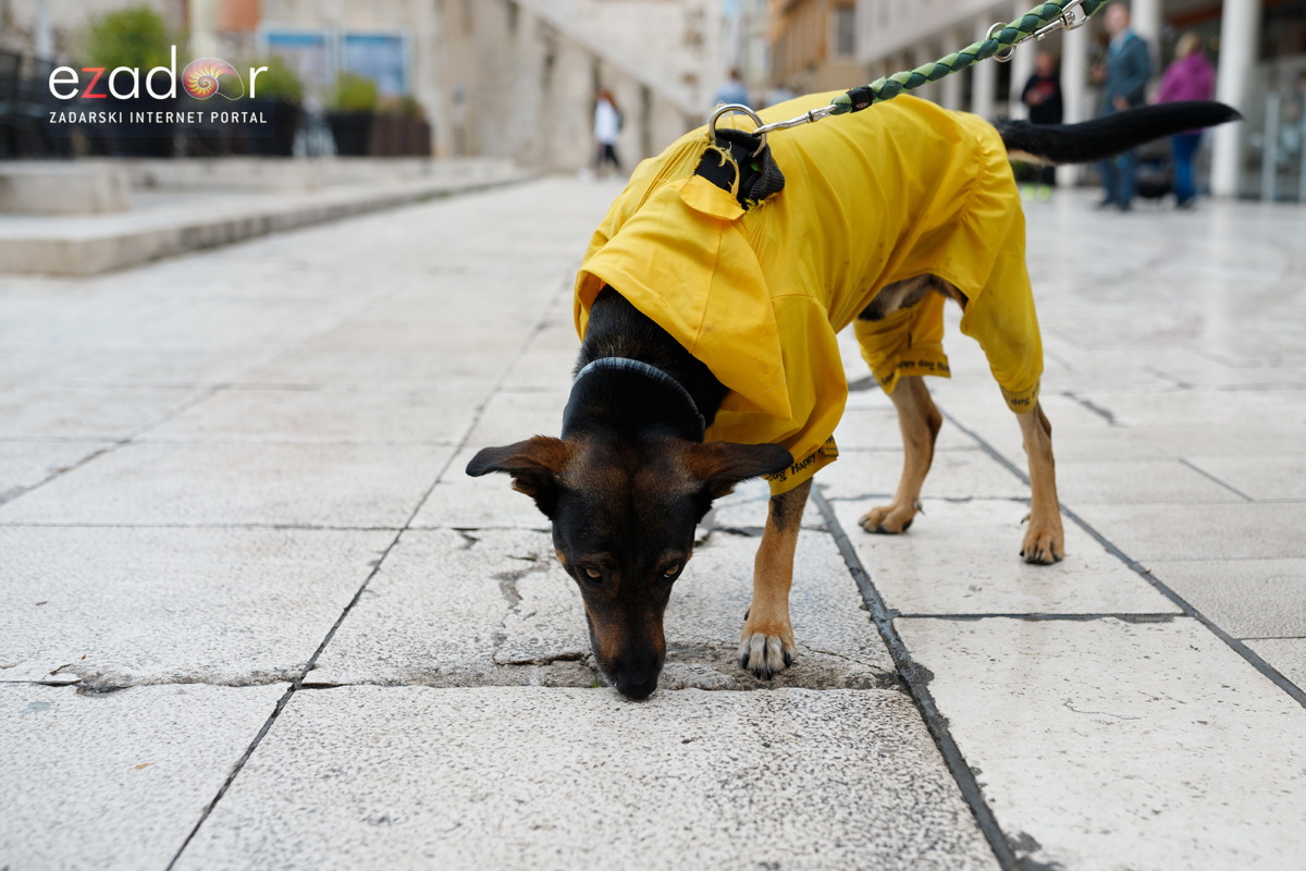 Đir po gradu, subotnja špica 4. svibnja 2019.