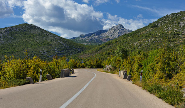 Image 999273 (auto)
