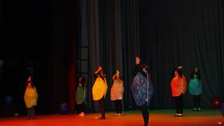 Plesno kazalisna udruga Zalet