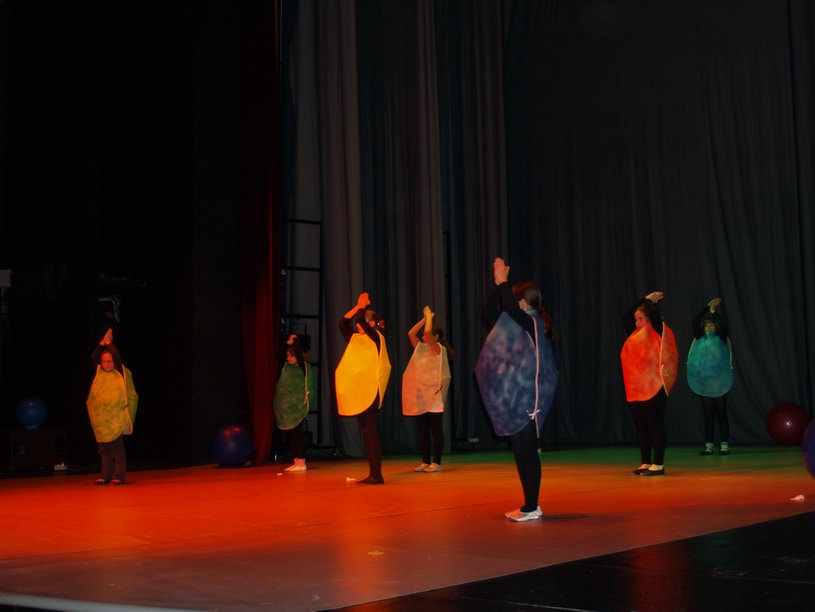 Plesno kazalisna udruga Zalet