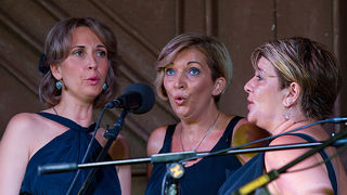 Raspivano Bibinje 2013: Prva večer, Foto: Leo Banić