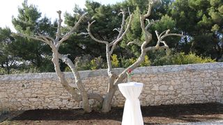 Delegacija Južnomoravske regije u posjeti otoku Viru Delegacija Južnomoravske regije u posjeti otoku Viru