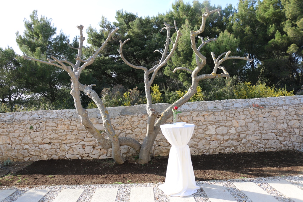 Delegacija Južnomoravske regije u posjeti otoku Viru Delegacija Južnomoravske regije u posjeti otoku Viru