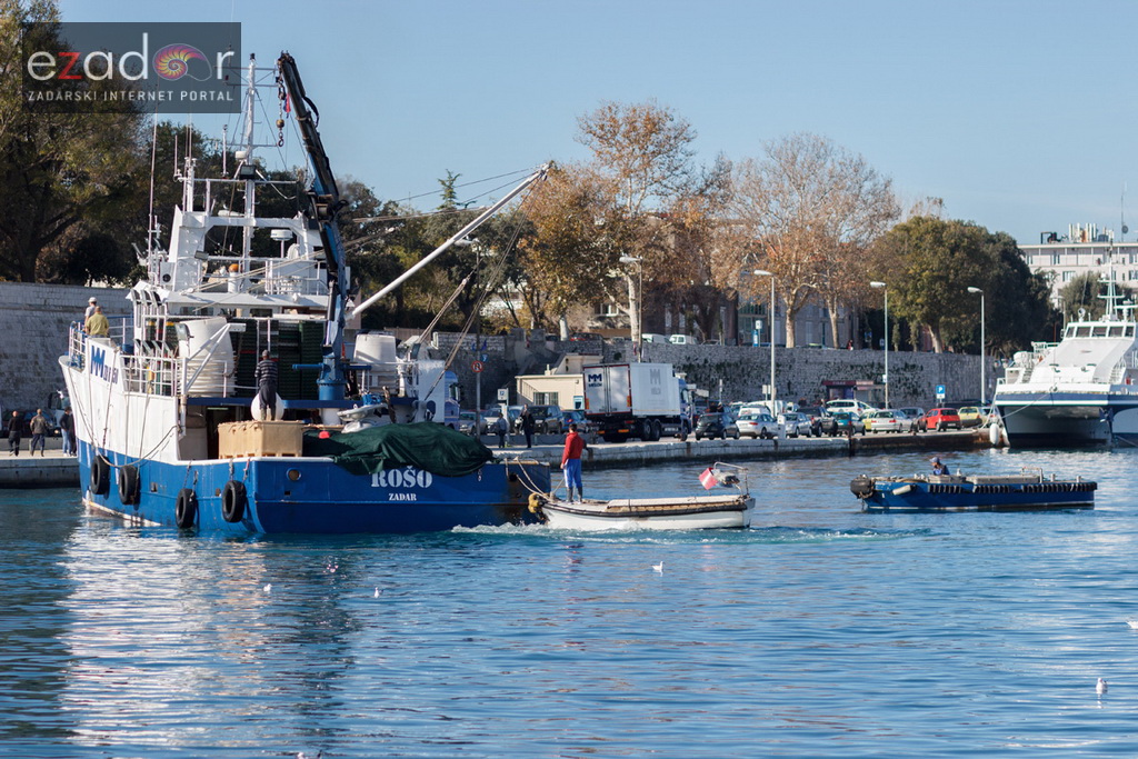 Đir po gradu, petak 17. studenog 2017.